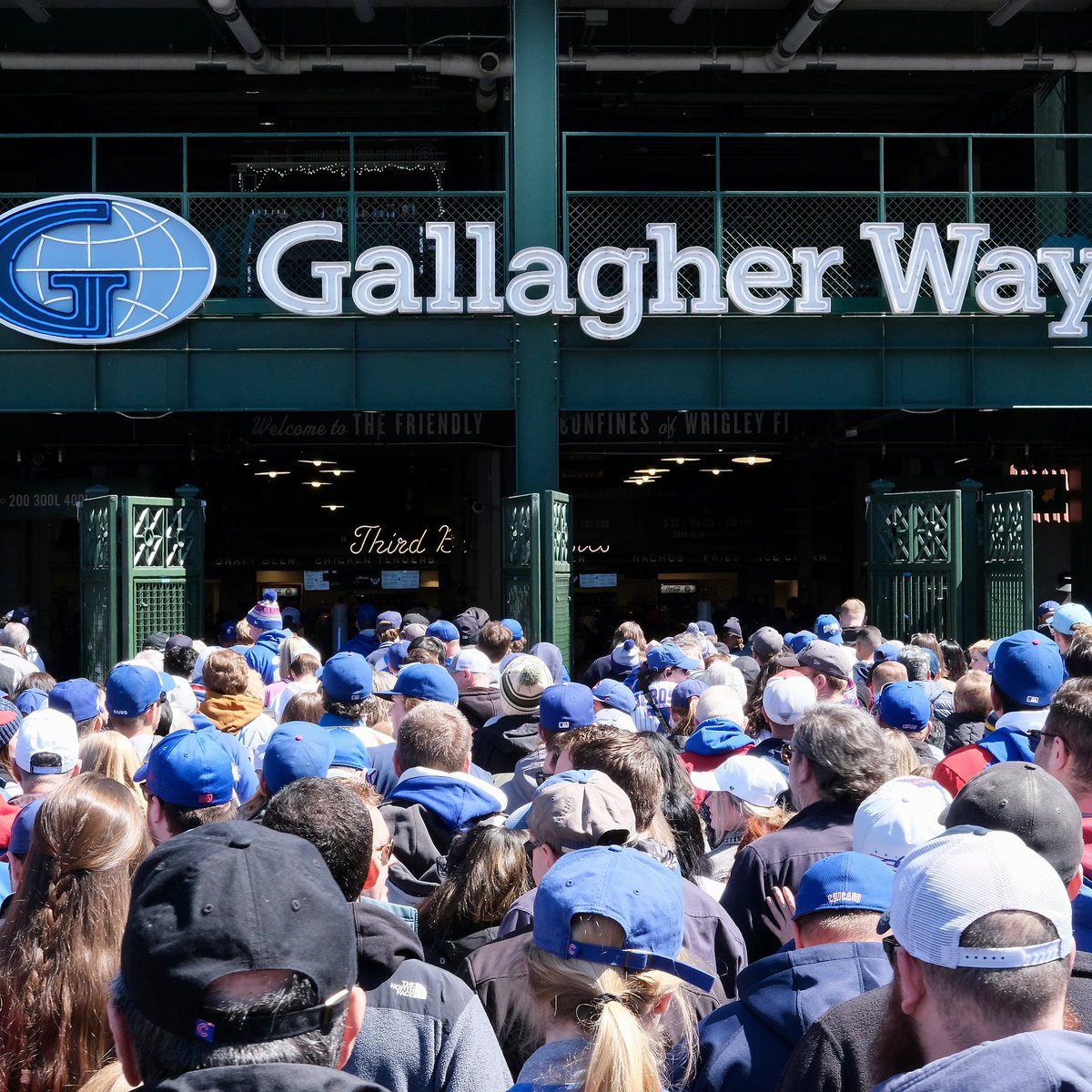 The fans were out in full force yesterday at Wrigley Field. ⚾️ #chicago #wrigleyfield #gallagherwaychi #wrigleyville #chicagocubs #cubbies #gocubsgo #mlb #baseball #fans #photo #photography #sportsphotography #chicagophotography #chicagophoto