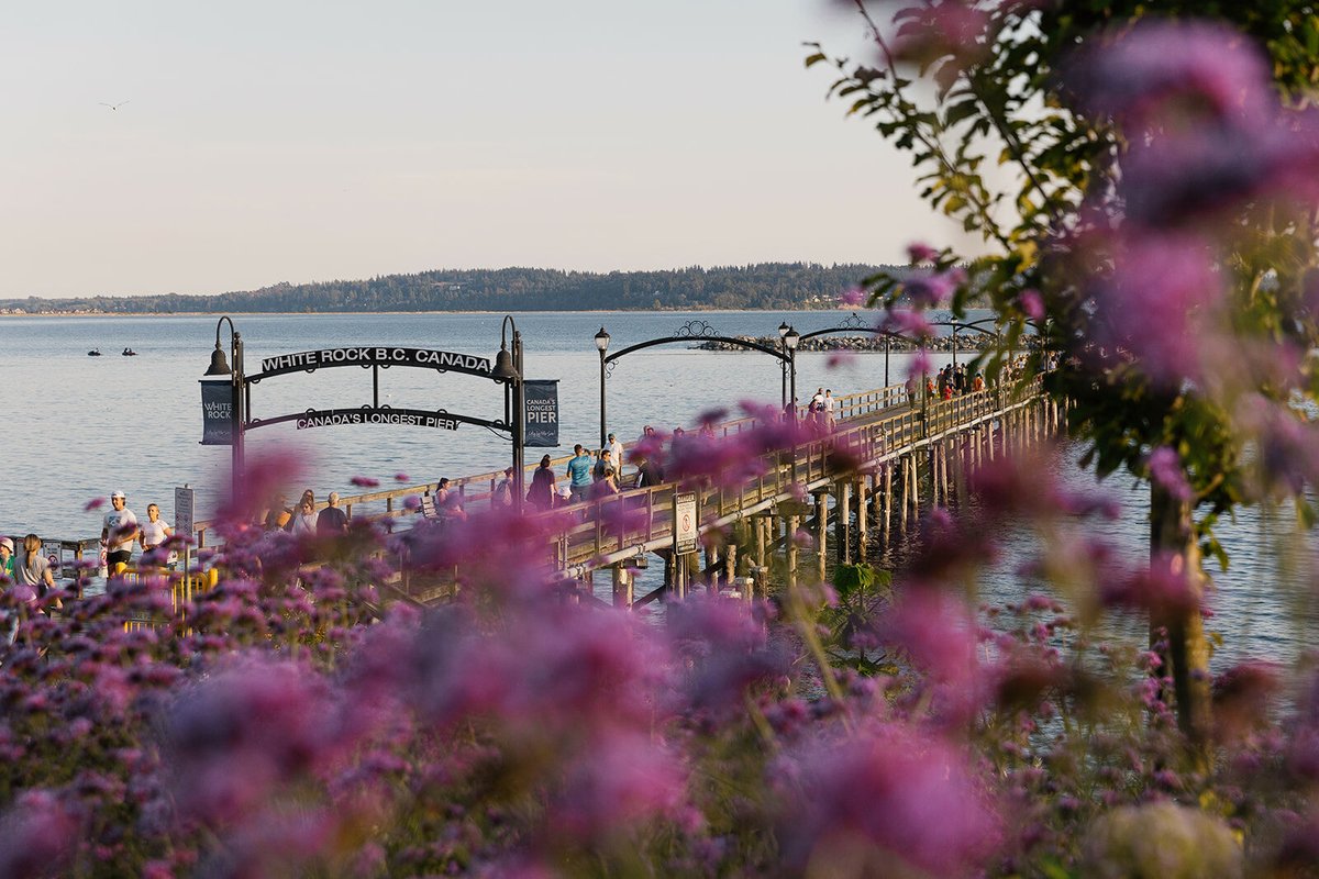 Happy World Health Day, White Rock!

Today, we celebrate by recognizing the importance of mental and physical well-being. By prioritizing self-care and supporting one another, we can build a healthier and happier community.❤️

#WorldHealthDay #WhiteRockBC