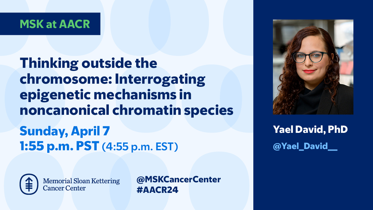 Join chemical biologist @Yael_David__ for a major symposium session titled “Thinking outside the chromosome: Interrogating epigenetic mechanisms in noncanonical chromatin species” TODAY at #AACR24 (@AACR). Learn more: bit.ly/3JaHWPW