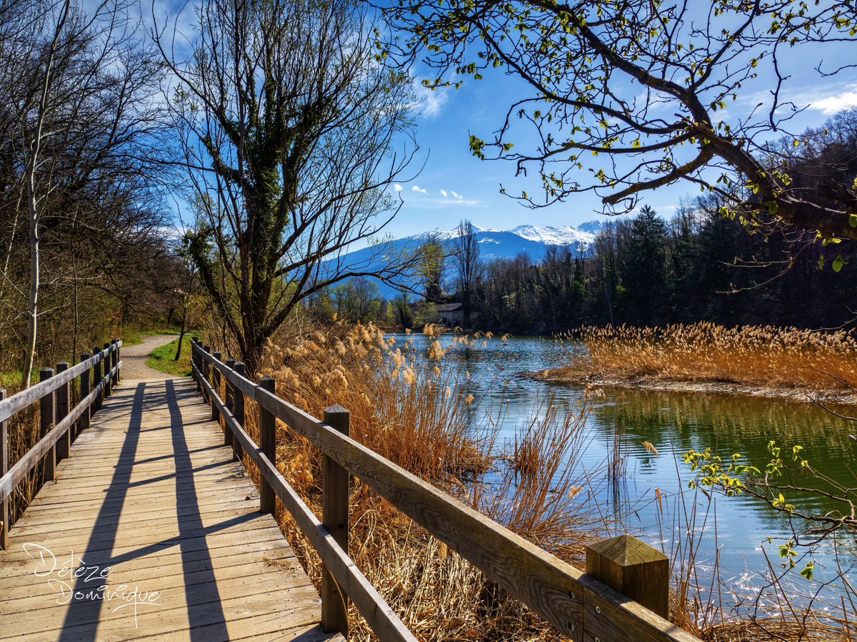 Enjamber la vie et apprécier cette belle nature, Sion 💚🧡💙🌳🇨🇭
#valais #suisse #switzerland #schweiz #paysage #nature @MySwitzerland_e @valaiswallis