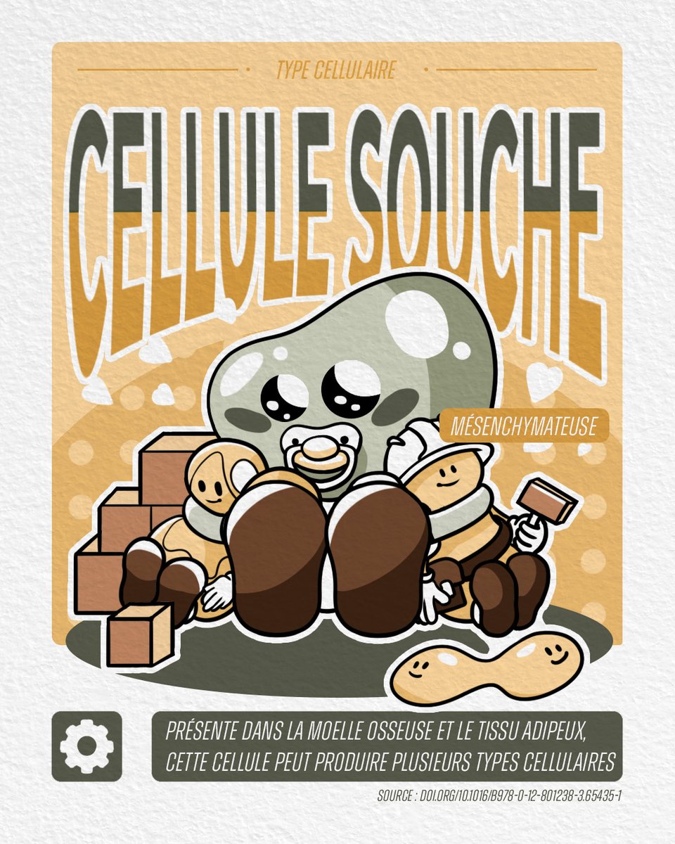 [🔬 #sciart ] Elles sont enfin finies ☺️. Les trois suivantes seront postées courant de la semaine prochaine ☺️. 

#scicomm #Science #scienceillustration