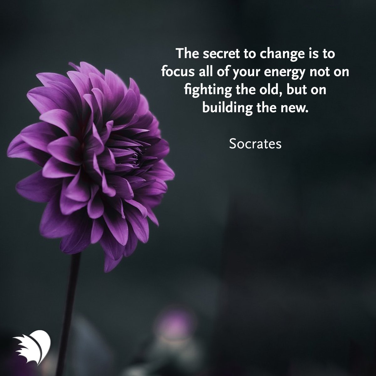 The secret to change is to focus all of your energy not on fighting the old, but on building the new. #PHACanada #PositiveVibes #PositiveQuote #PHcommunity #MotivationalQuotes