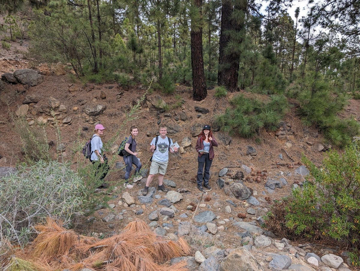 Second day of botanising in Tenerife with our 2nd year students! In two days they have already learned over 20 plant families and identified many species. @BiologyEHU @edgehill #botany #plants