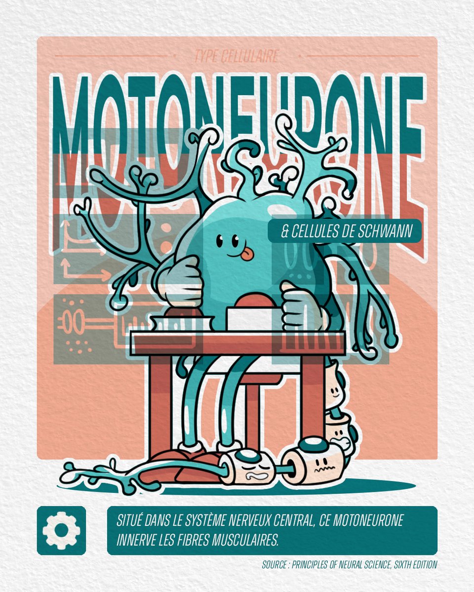 [🔬 #sciart ] Voici les 3 dernières cartes ☺️. A bientôt pour le futur projet ☺️.

#scicomm #Science #scienceillustration