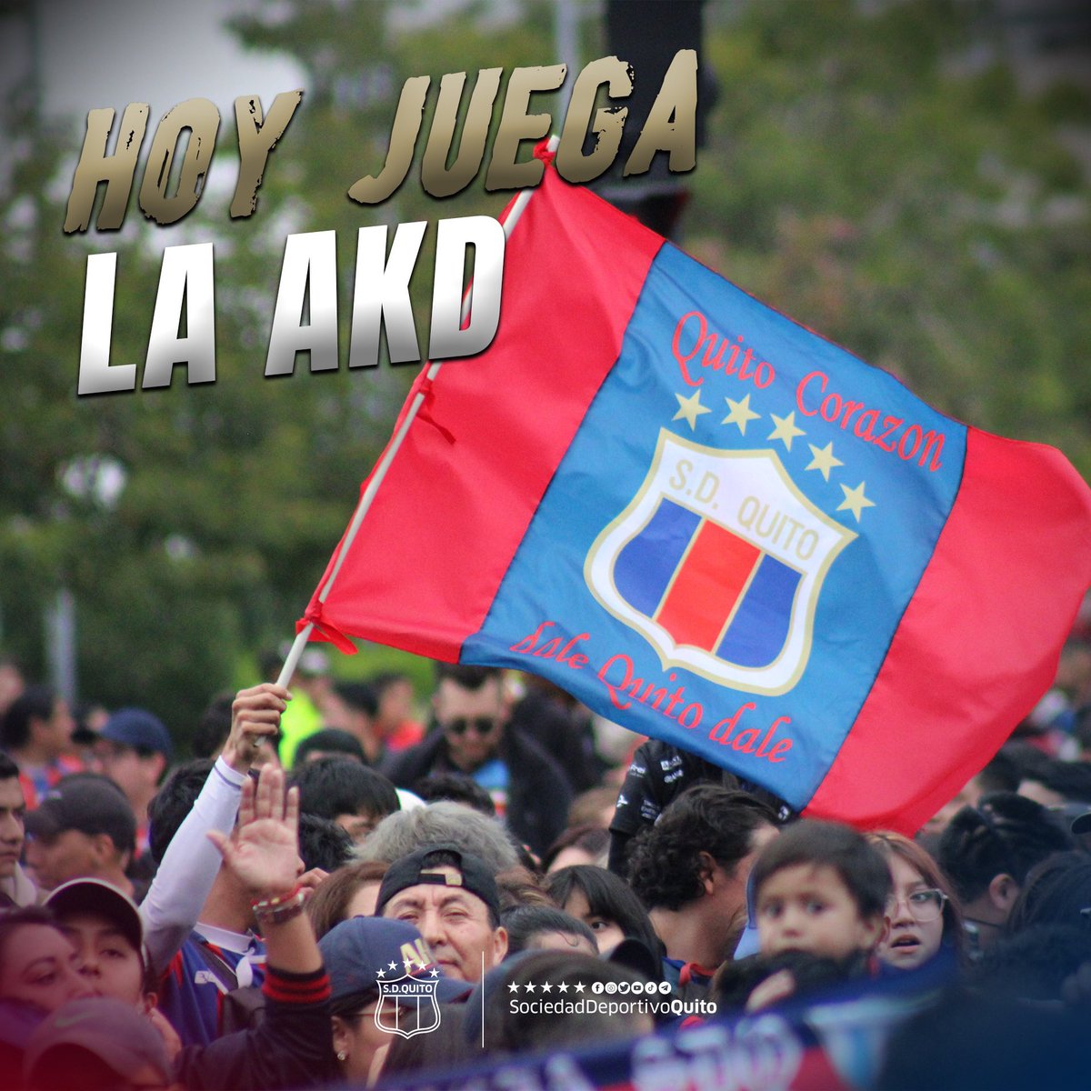 SD Quito Oficial tweet media
