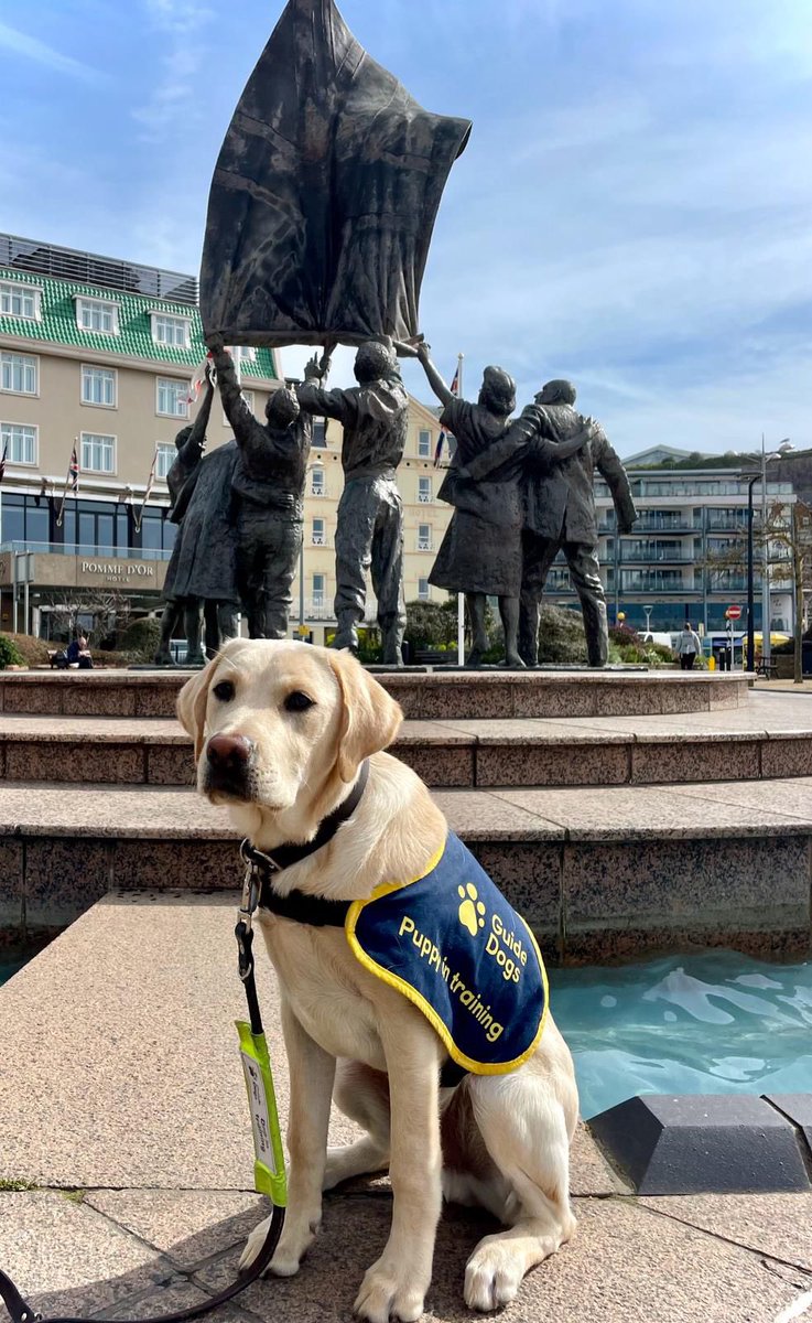 Paperbacks Book Sale coming up! 
Fri 26April 6-8pm 
Sat 27 April 9am-4pm at St Ouen’s Parish Hall. Bargains galore and children’s books too (still just 25pm each).
Come and meet working Guide Dogs, ambassador Guide Dogs and our trainees Sugar and Gromit 🇯🇪🐾🐾
@guidedogs