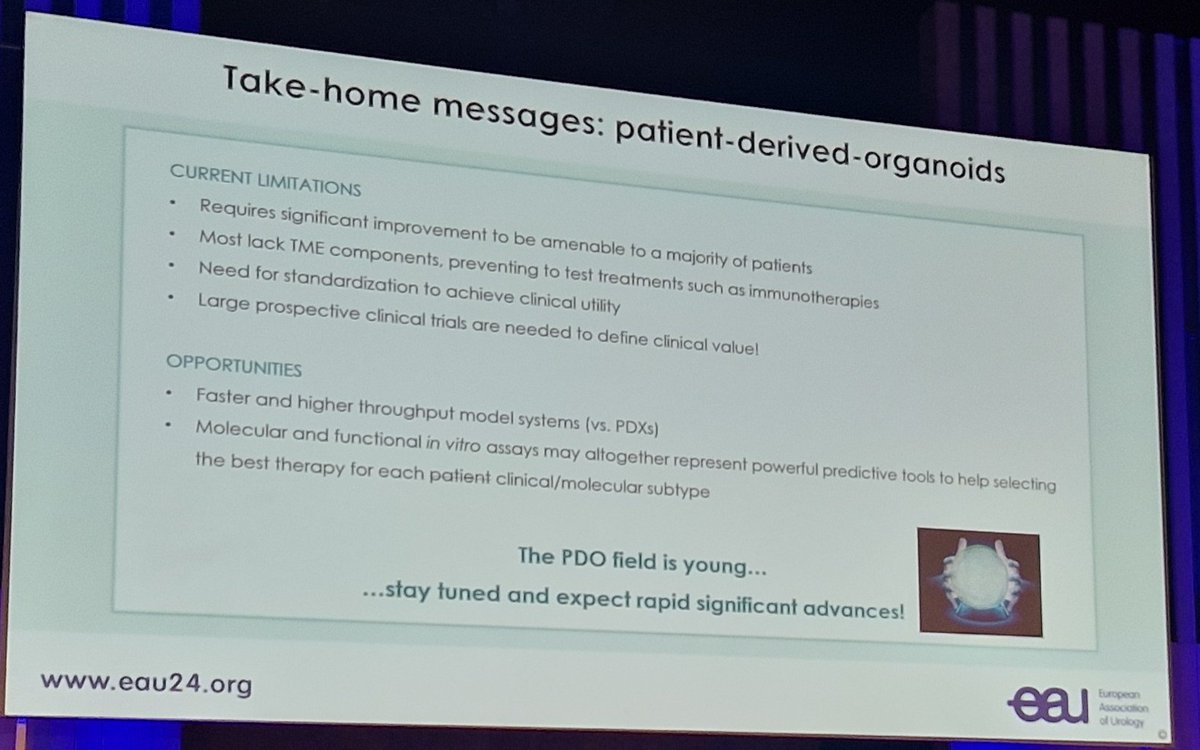 @ClemLeMagnen outlines nicely the opportunities / challenges of #PatientDerivedOrganoid development in #ProstateCancer •Amazing opportunities for personalised decision-making •Issues around #TME & maintenence of patient derived characteristics #EAU24