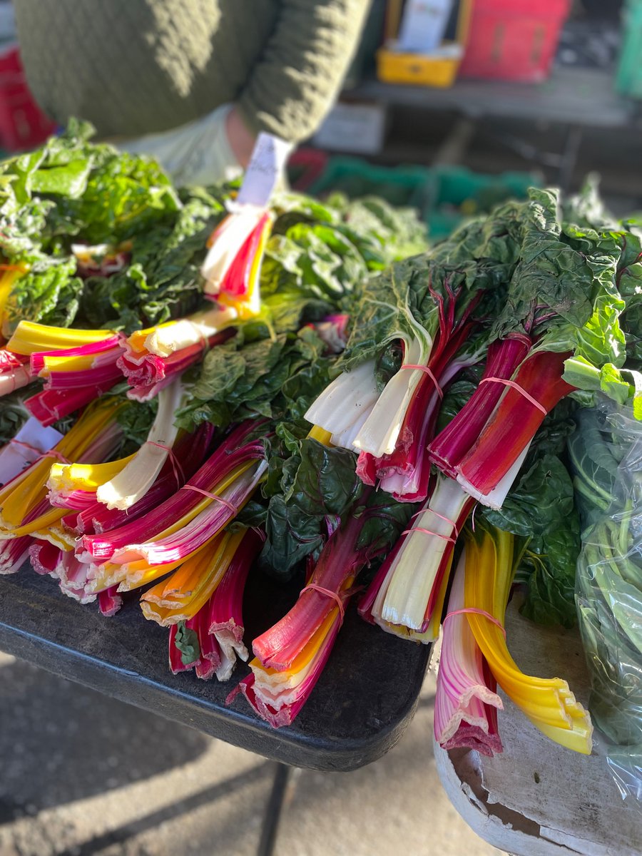 Christina Tkacik tweet media