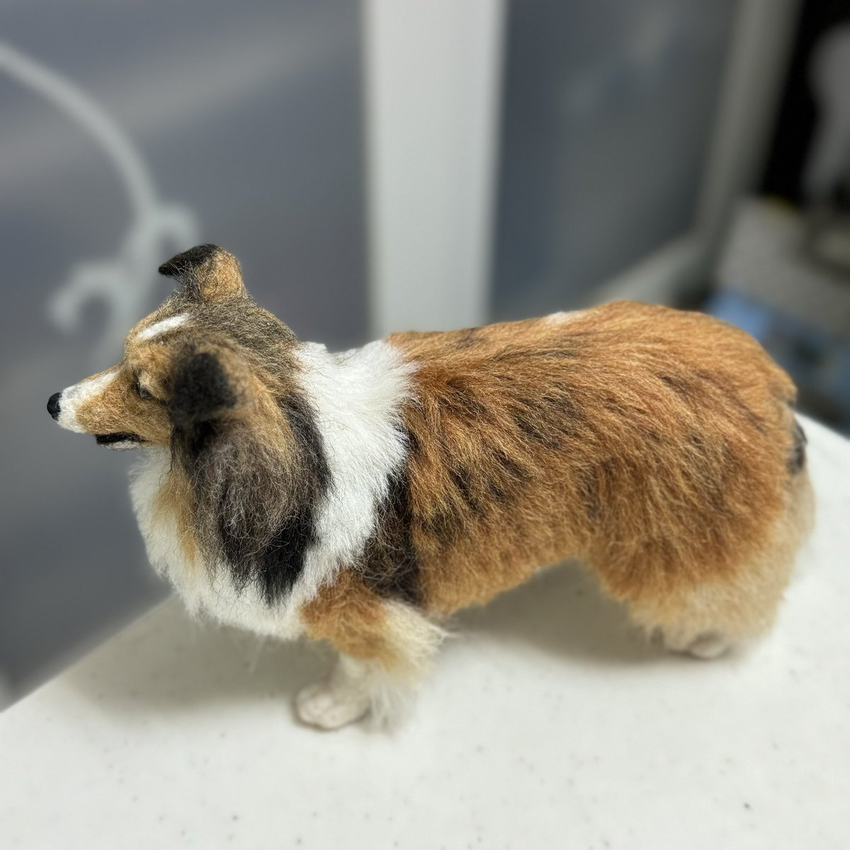 羊毛フェルト／シェルティー（ヒナちゃん）
Shetland Sheepdog

WIP :)
全身の植毛が終わりました！
細かいところの修正と
兄弟とのバランス調整して完成です♪
あと2週間あれば完成できそうです。

#羊毛フェルト
#シェットランドシープドッグ
#シェルティー