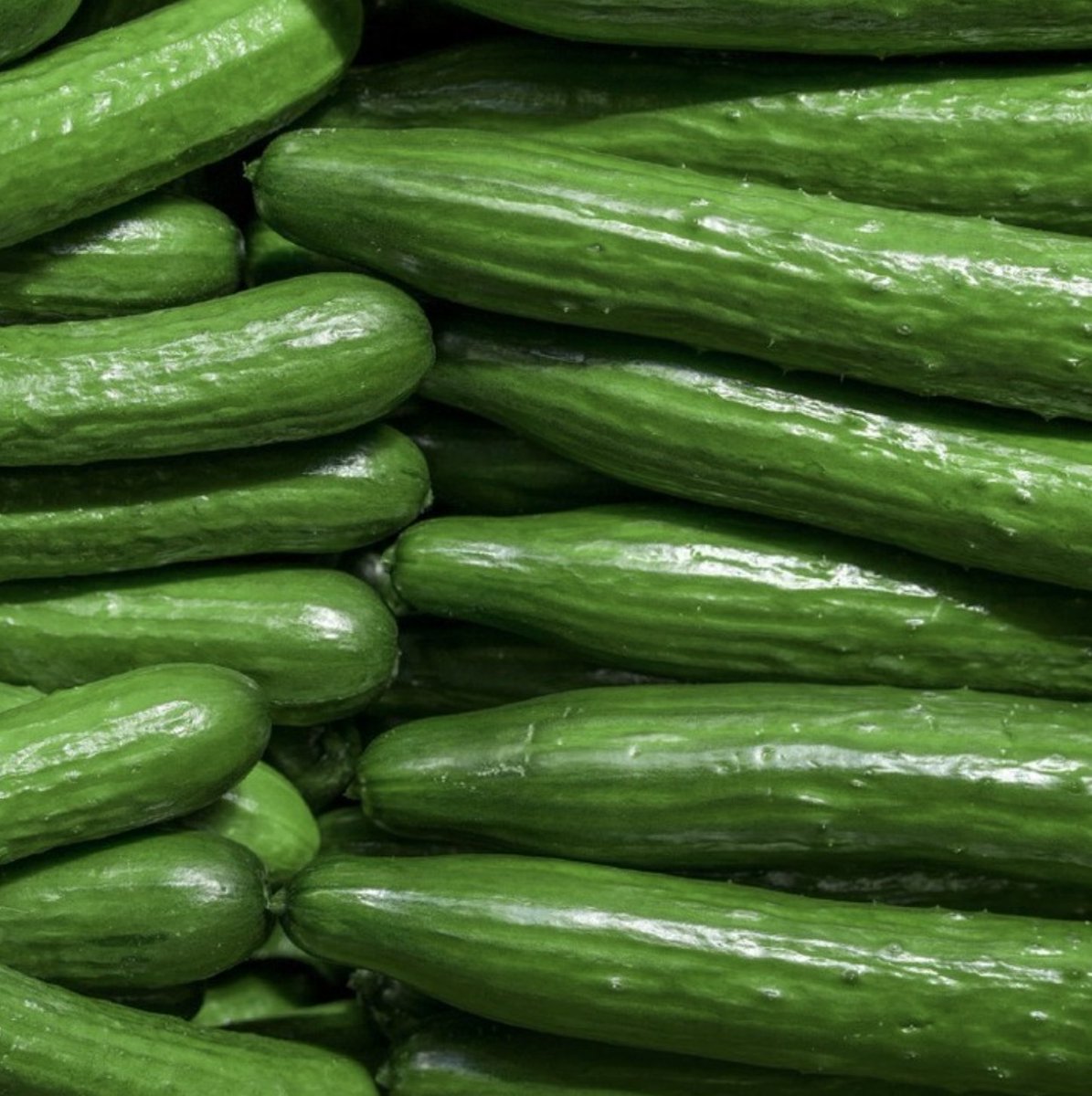 To peel or not to peel, that is the question. The skin of a Cucumber is where most of this superfood’s vitamins & nutrients are stored. High in vitamin K, cucumber skin offers endless benefits. So, keep your peels on! #Repost from @Nature_Fresh