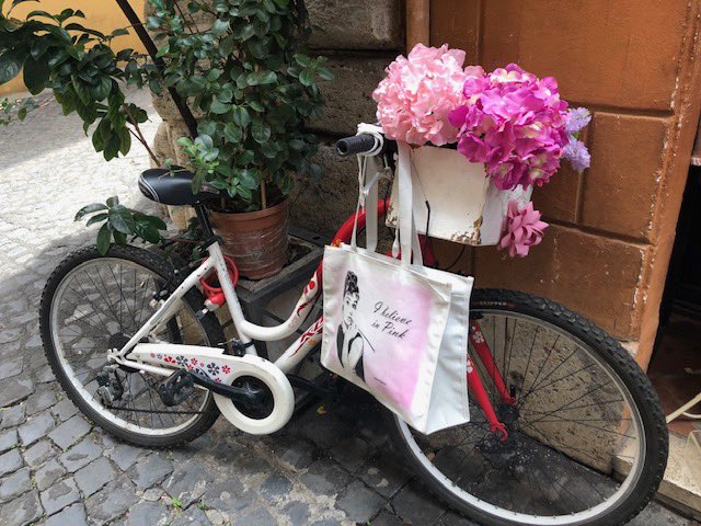 Kaisa Smith tweet media