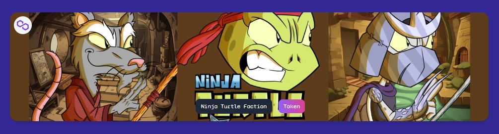 OnlyFamsNFTs's tweet photo. New listing on OnlyFams! Meet @NinjaTurtleFctn https://t.co/iNYTgcWwNk