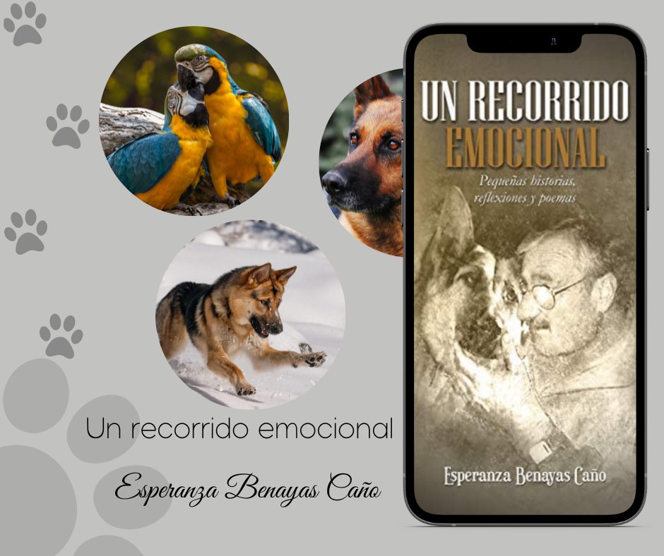 Promoción_literaria tweet media