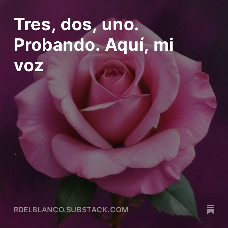 Tres, dos, uno. Probando. Un me después de dimitir de directora general. Os presento mi voz. 
open.substack.com/pub/rdelblanco… #columna #substrack #literatura #escrituracreativa #oloquesea