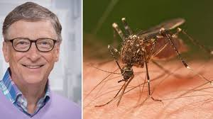 JulioRazona's tweet photo. Lobby por la  inservible y peligrosa vacuna del Dengue. 
Lliberaron mosquitos que Bill Gates produce en Colombia, ningun Fsical investiga este ataque a la salud publica. 
Las fumigaciones brillan por su ausencia.
No hay pauta publicitaria oficial, pero si de la farmafia. https://t.co/9RfNmA1B1T