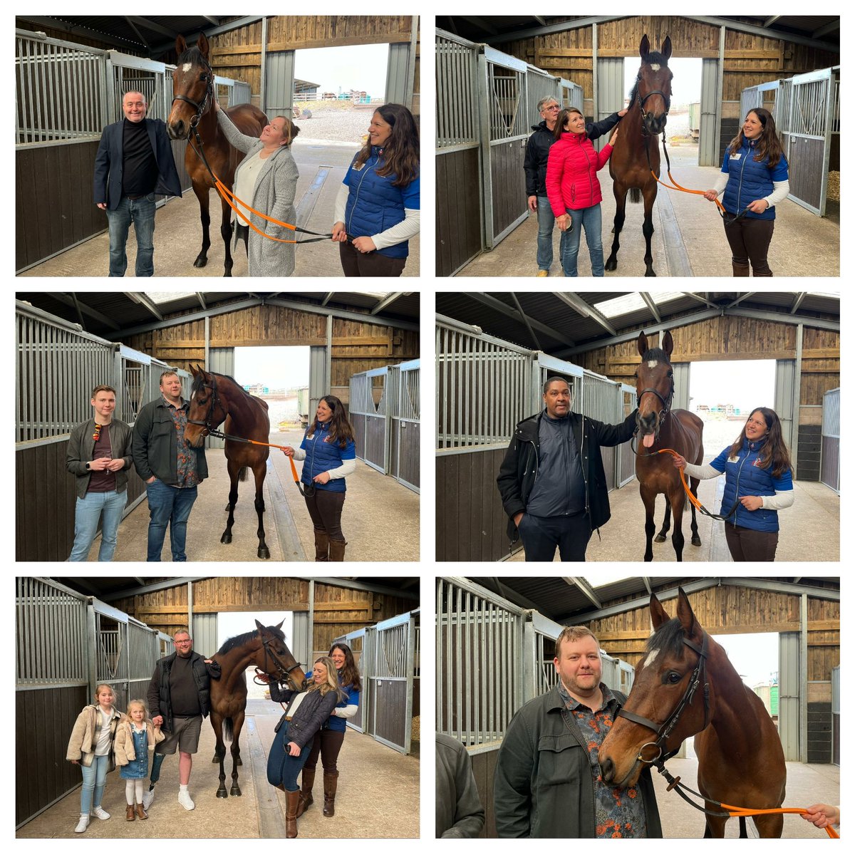 Really enjoyable morning with the syndicate owners of ROCK SENSATION who is having his summer at Noel Fehily's. He'll be trained by @benpauling1 who is a fantastic addition to our team 🏇 🖱Noel@noelfehilyracing.com ☎️07775 920489 Sponsor olivepg.co.uk