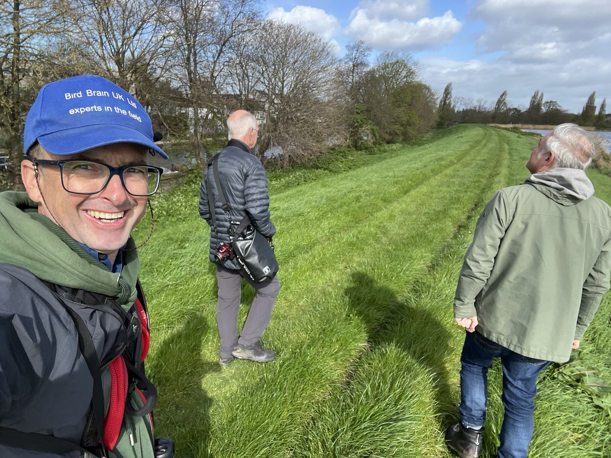 3D birding @Callahanbirder @porthkillier