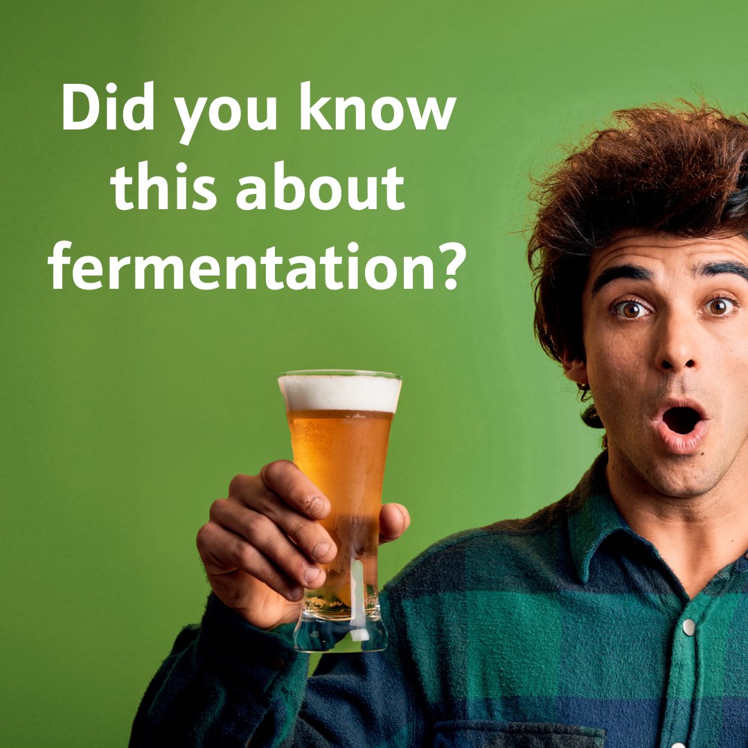 FACT: #Fermentation makes more than just #beer.

Locus uses a similar process to brew 100% #biobased alternatives to chemicals that solve global challenges. The solutions are used in industries from agriculture to energy to consumer products.

#NationalBeerDay #NowYouKnow