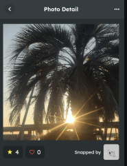 #SNPIT #SNPITapril Sunrise with coconuts tree with sunlight