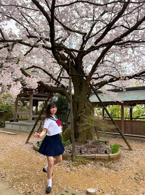 雅（みやび）のTwitter画像29