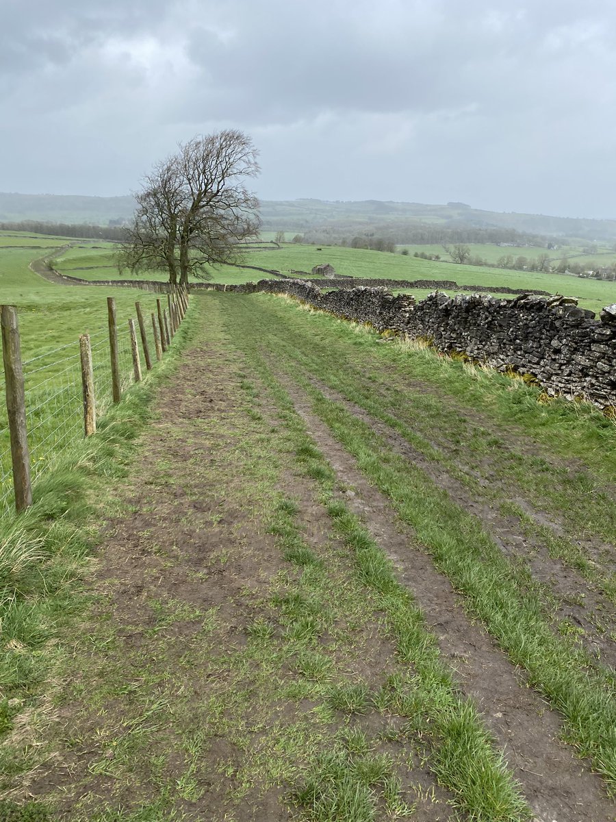 WayneBexton's tweet image. Bakewell fell run today! 🤩 #hilly #muddy