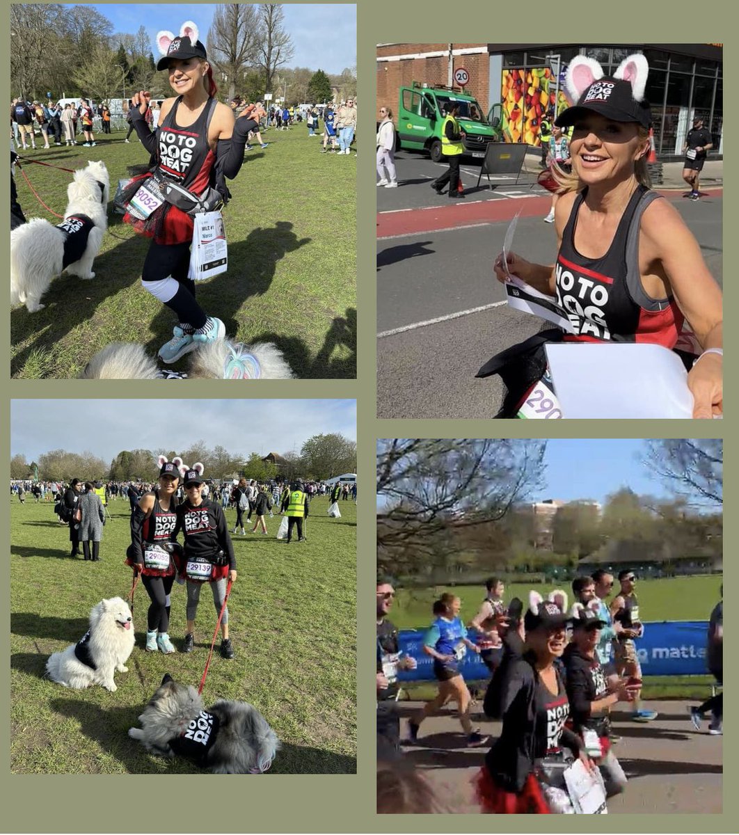 #brightonmarathon #brightonmarathonweekend Nikki and Michelle are proudly representing #notodogmeat carrying the posters of every mile dedicated to our survivors. If you make it down to Brighton UK today please show them some love. #share #dogmeattradesurvivor #press