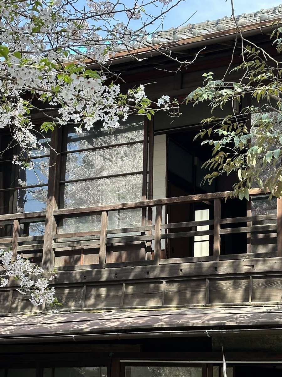 OENSO1920's tweet photo. 「今年もこの桜を見ることができてよかった」

この家の存続を願い続けてきた人たちが久しぶりに集い、笑顔があふれた週末でした🌸

ひとまず取り壊しはまぬがれましたが、104歳の家を次の100年に残すため、これから大規模な修繕プランを練っていきます。

どうぞ、ゆっくり見守ってください。
#桜縁荘 https://t.co/gLdcyHVWcv