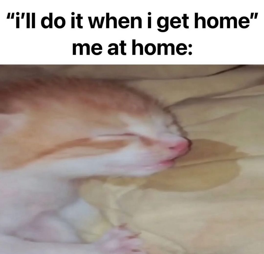 🕐HOURLY🕑 shitpost tweet media