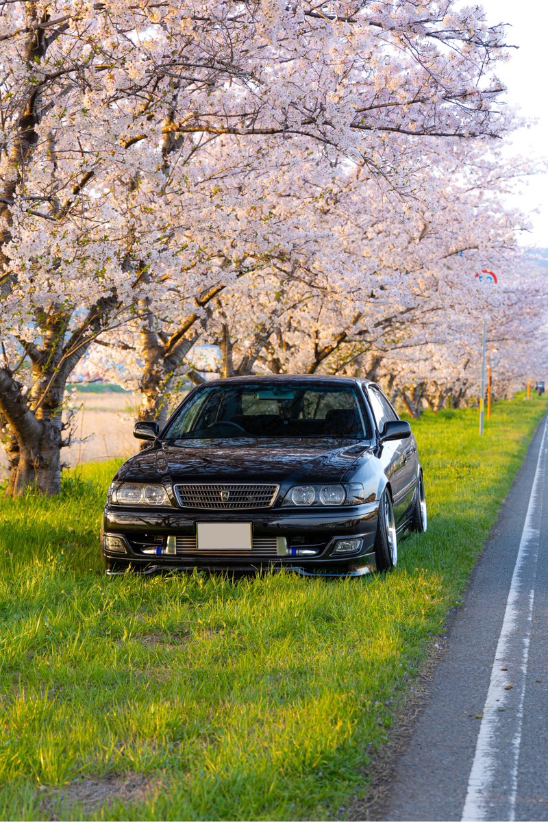 #愛車と桜

夕日と桜