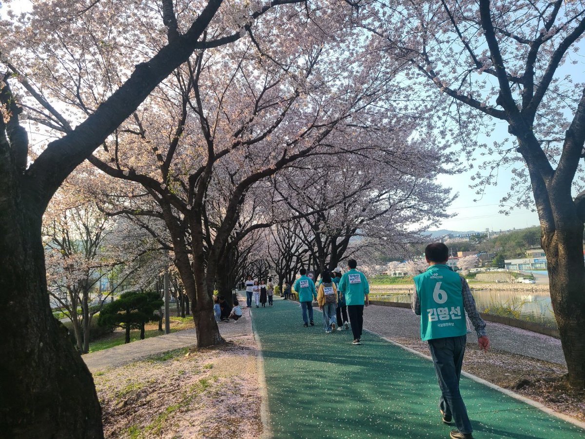 오늘은 대구에서 새미래 당원분들이 봉사하러 와주셔서 모처럼 상주가 6번의 민트색으로 활기가 넘쳤습니다. 고마워요. 대구 새미래.^^