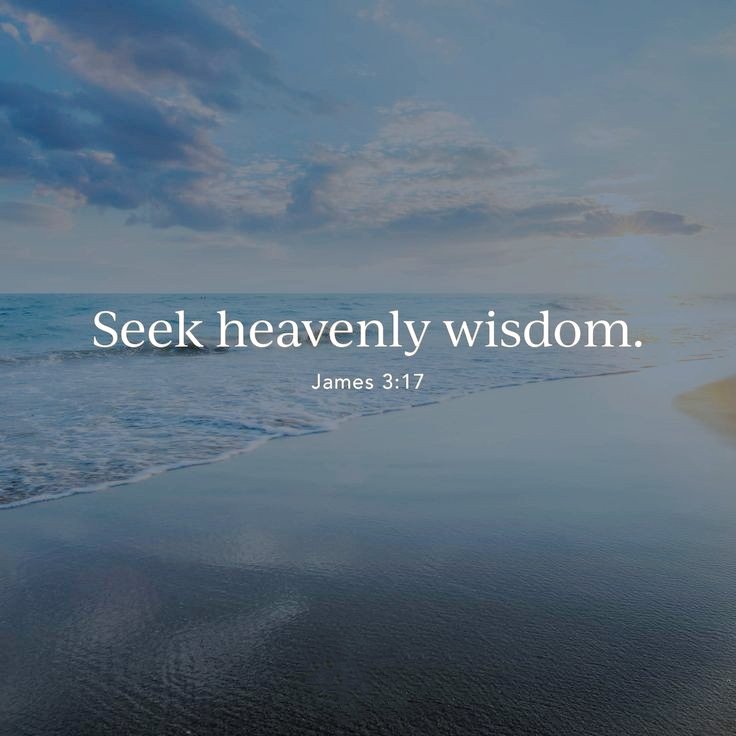 But the wisdom that is from above is first pure, then peaceable, gentle, willing to yield, full of mercy and good fruits, without partiality and without hypocrisy. James 3:17