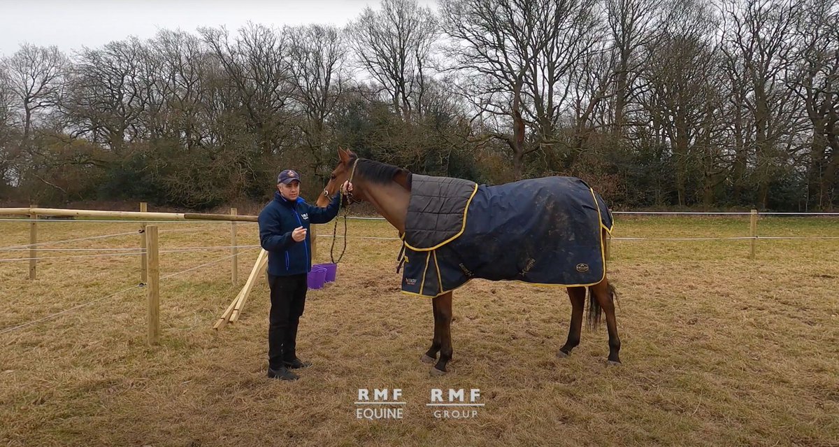 Explore the world of horses with RMF's FREE Level 1 Diploma in Work Based Horse Care. Learn tacking, leading, and more on your path to becoming an equine pro! Based in #WestMidlands? Call 0121 440 7970 or email enquiries@rmftraining.co.uk for details and enrolment. #HorseLife