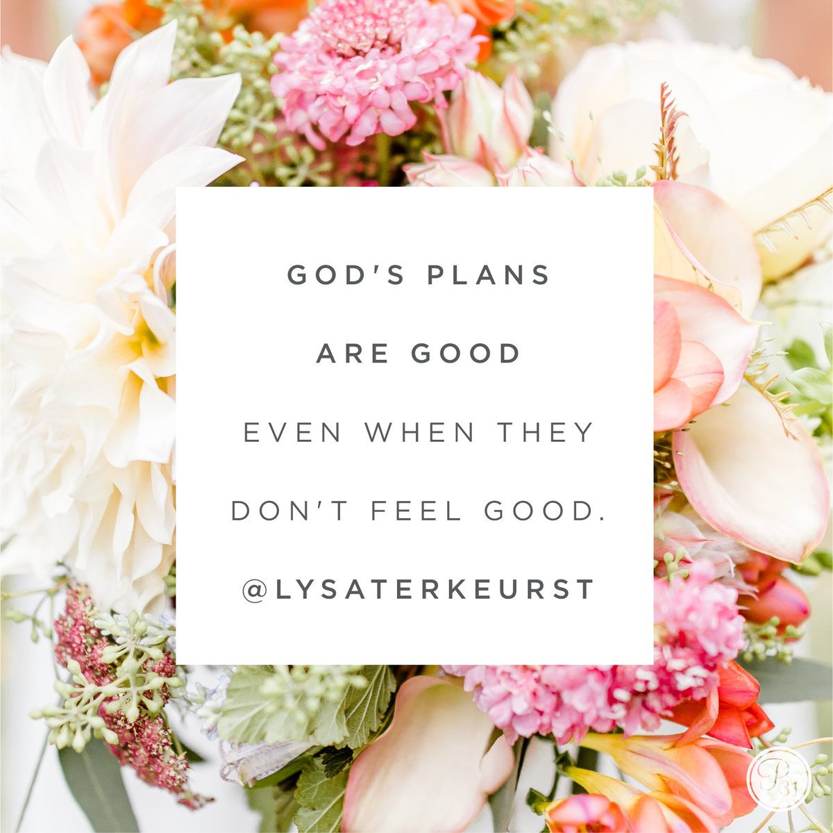 God’s plans are good even when they don’t feel good. This is a solid Truth we can cling to.