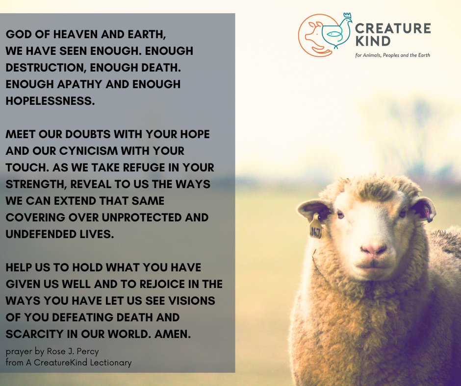 On this First Sunday after Easter, let's turn our hearts to the God of heaven and earth. We've witnessed enough pain, enough destruction, and enough despair. As we proclaim 'enough is enough' to narratives of death, may we become true witnesses to resurrection.