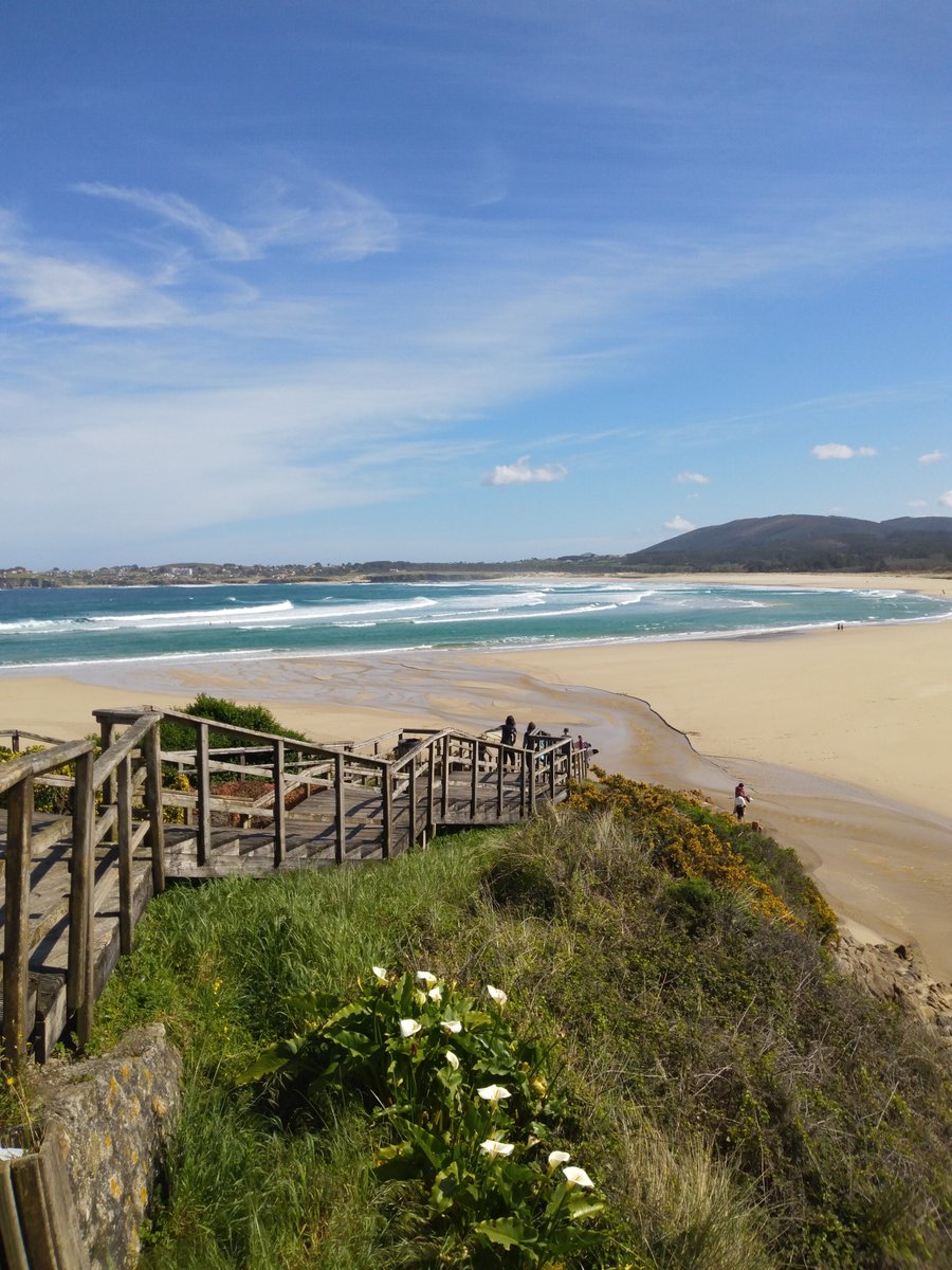 Ferrol en estado puro💚