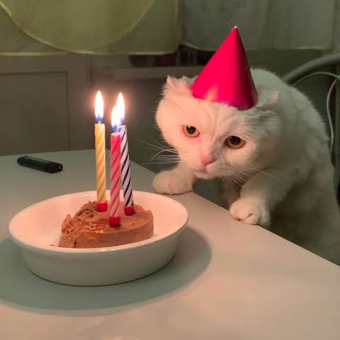 CODM Comics tweet media