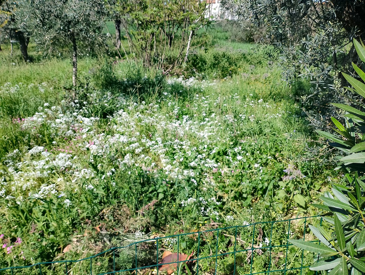Domenica in campagna