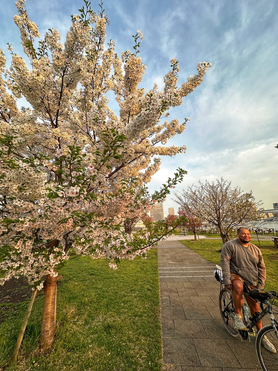 Obama said he wanted a pic under the cherry blossoms because it made him feel like an anime protagonist.