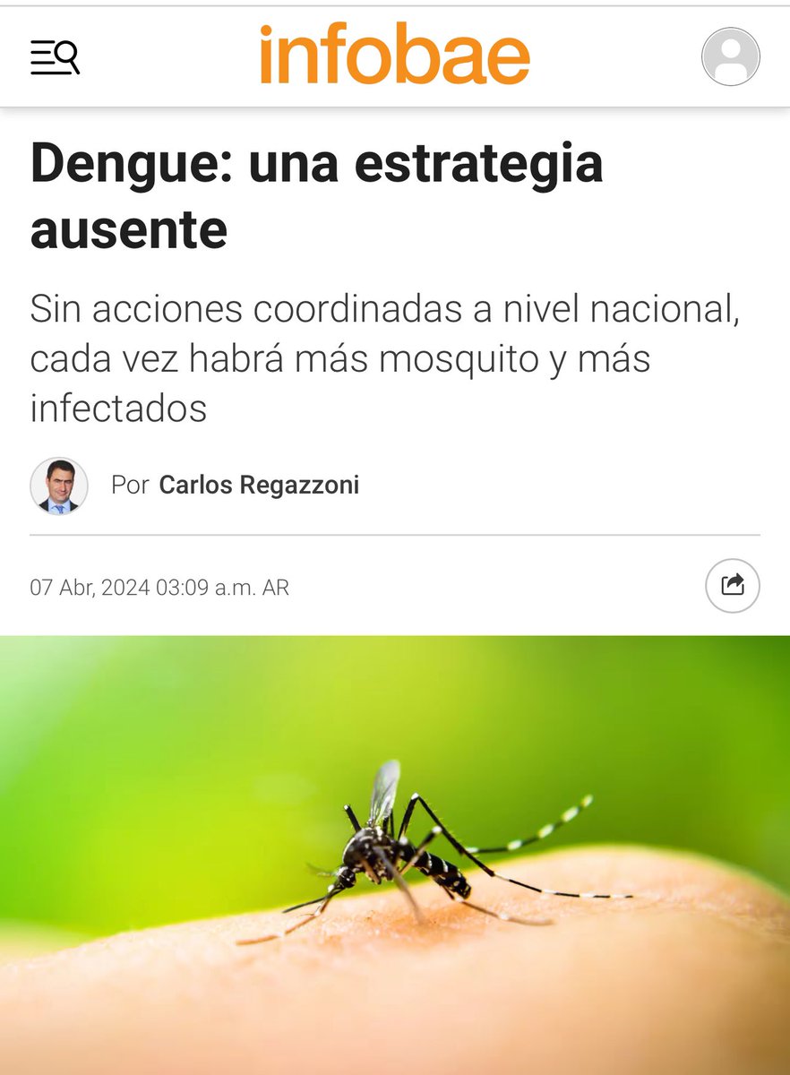 DENGUE. Mi opinión sobre la situación <a href="/infobae/">infobae</a> infobae.com/opinion/2024/0…