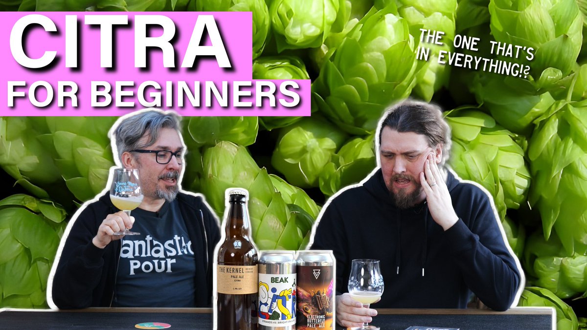 This week on Hops in Focus, it’s time for the big one. The omnipresent, industry standard for many modern IPA brewers. We take a look at Citra, including its interesting background and lineage. youtu.be/hLuKQDYrvf8?si…