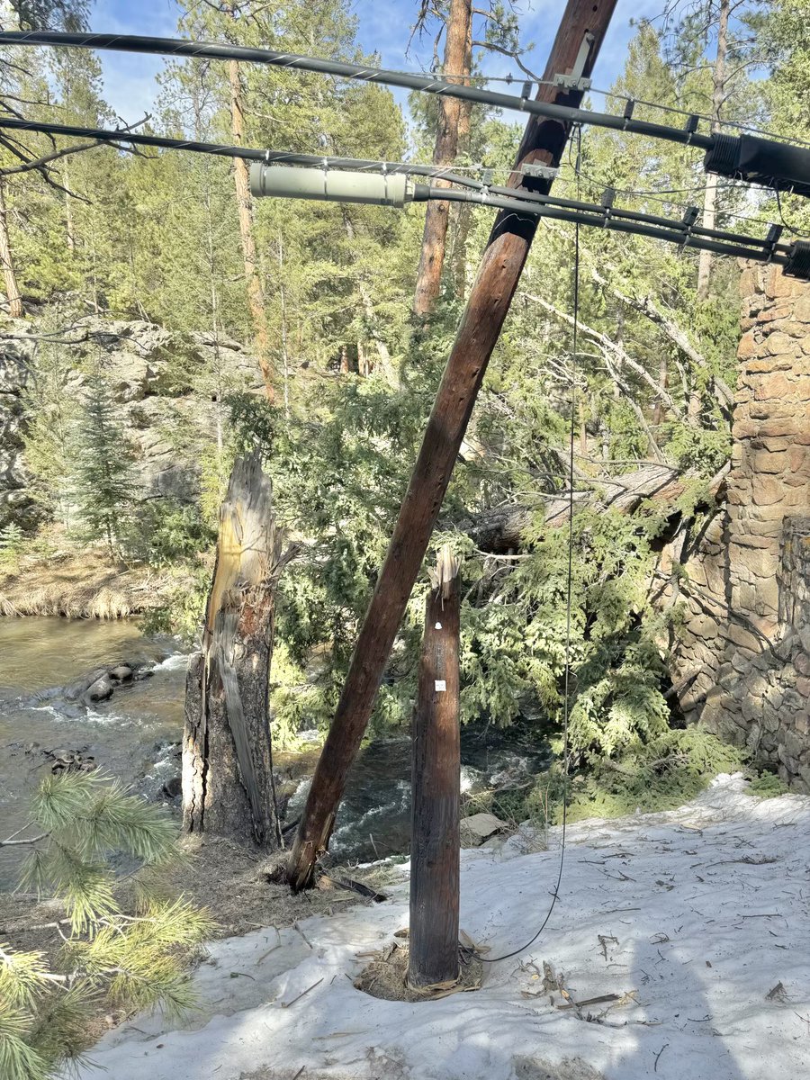 Evergreen Fire/Rescue tweet media