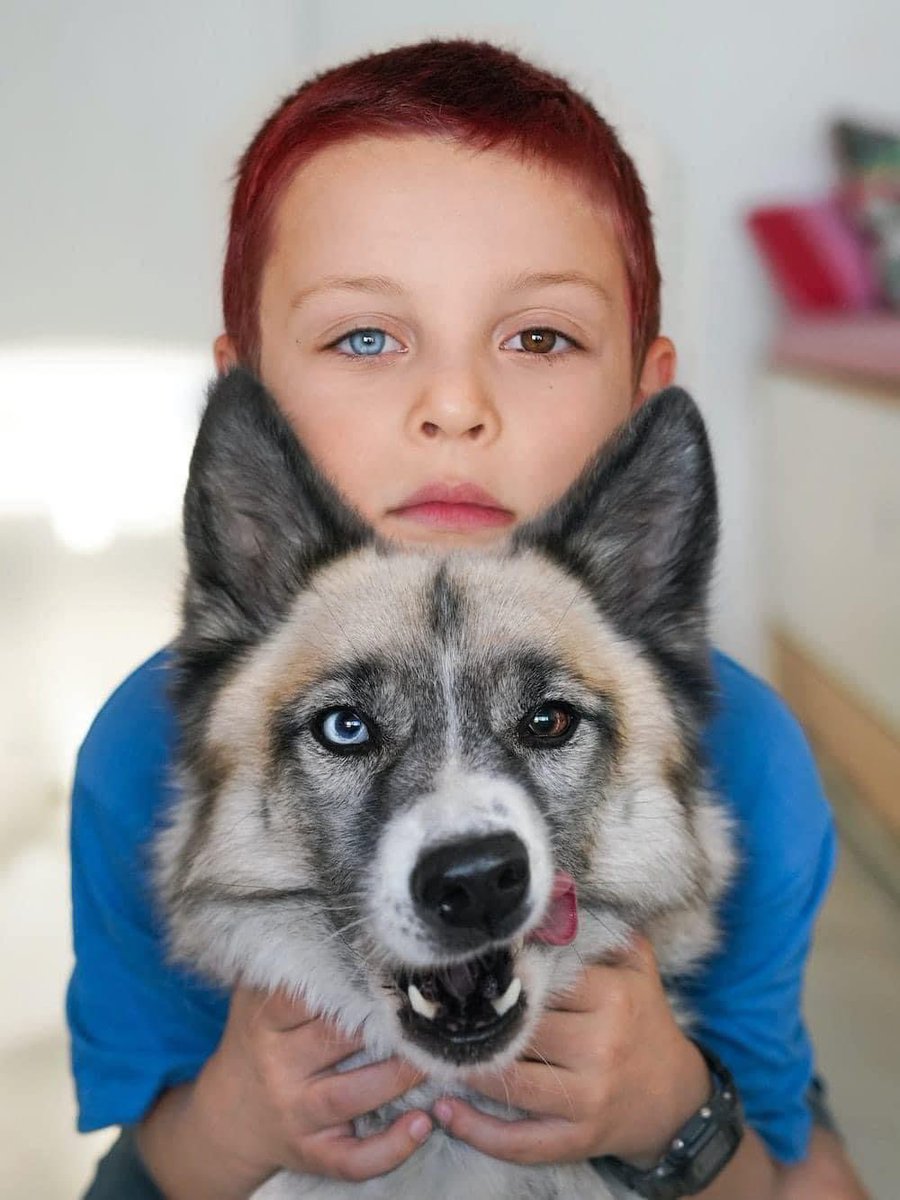 Un perrito y su dueño, ambos con homofobia. 🥰