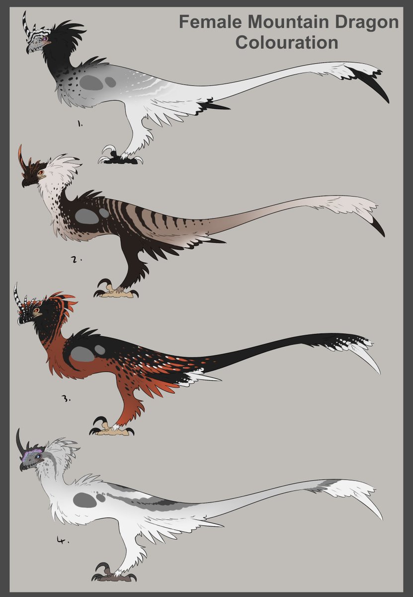Krydd_13's tweet image. Mountain dragon colouration ideas and final design
#dragon #worlddesign