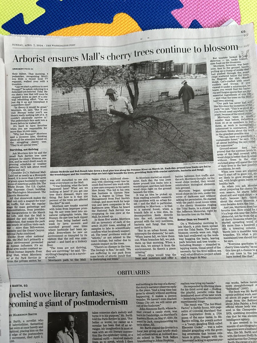 As a reporter, I'm always curious about who is behind big events. Millions roll into DC for cherry blossom festival--so whose job is it to maintain those trees? In my latest @washingtonpost story, meet the Mall's tree guy. In your paper today