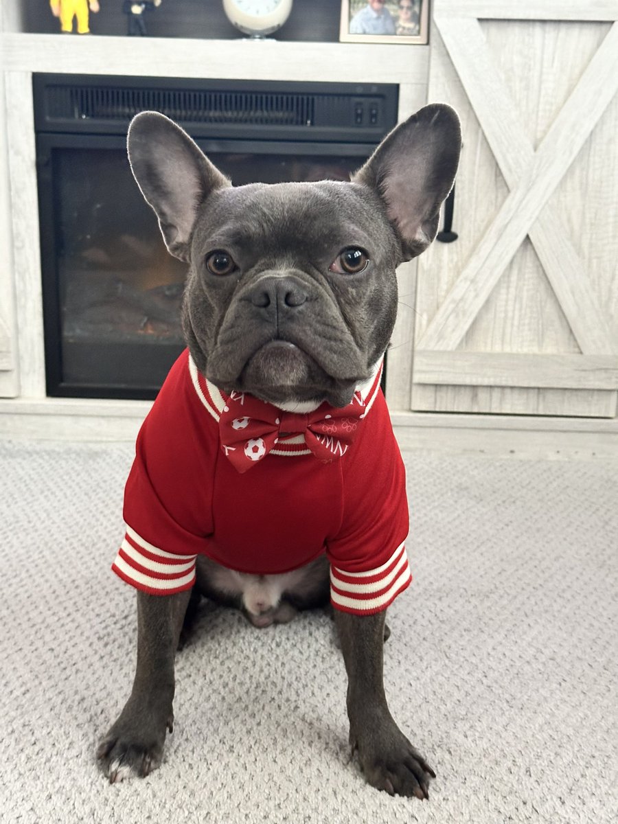 mbernardJ's tweet image. Jerry is ready for a big win. Up The Reds! #MyPLMorning @NBCSportsSoccer