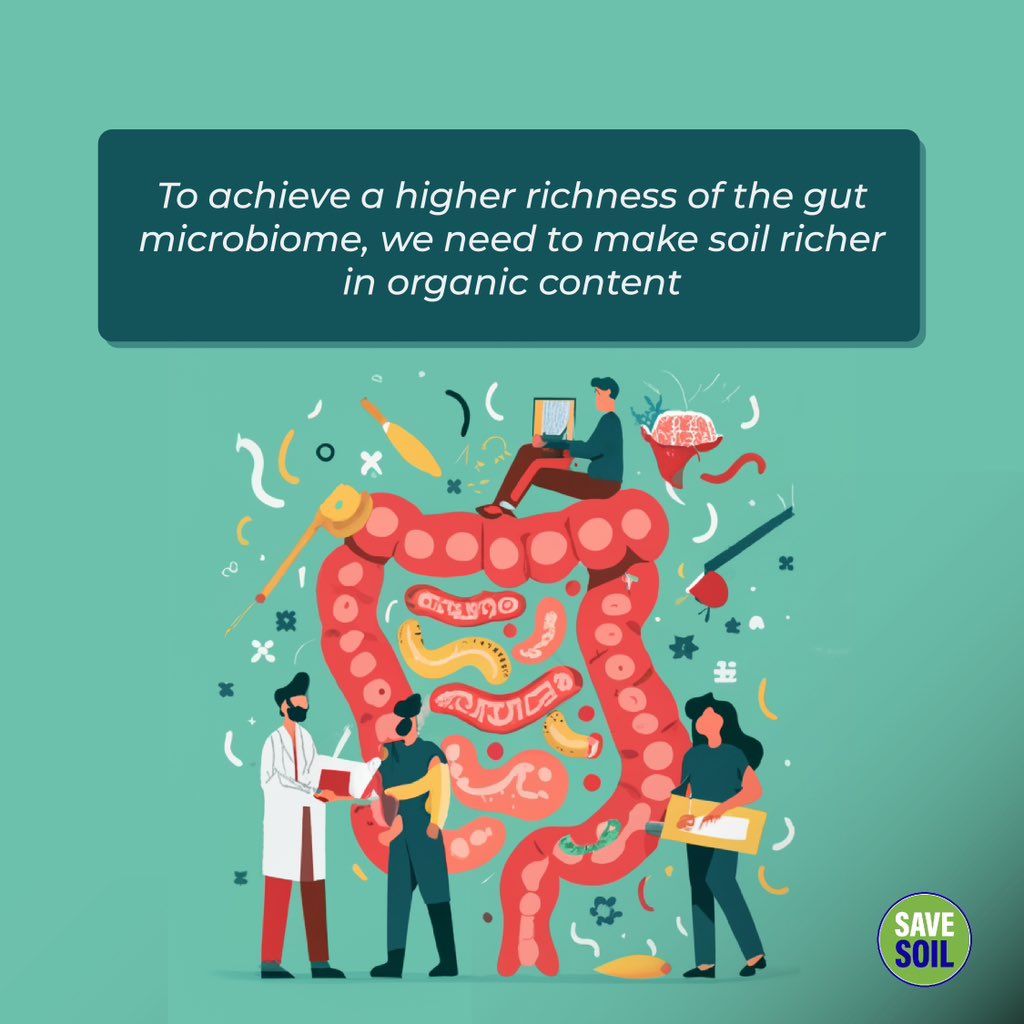 Did you know that the soil and the human gut contain approximately the same number of active microorganisms? Human and soil microbiomes are ‘superorganisms’ which, by close contact, replenish each other with inoculants, genes and growth-sustaining molecules. By taking care of the…