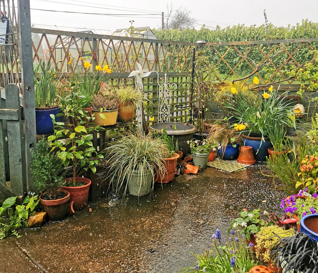 After some lovely sunshine, we now have gusts of wind and hail... hope you're having a nice weekend there 😃🌷🌱🌿 #Gardening #OurCourtyard #Spring #PotPond #HortiHugh