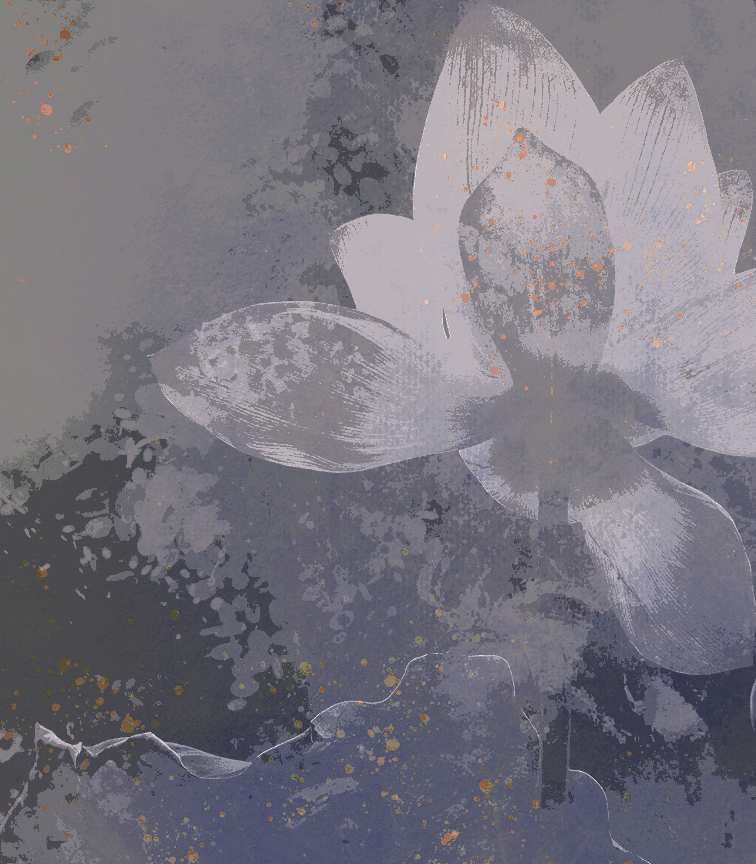 ‍ ‍‍ ‍ ‍ ‍ ‍濯世书 (@revetides) on Twitter photo 