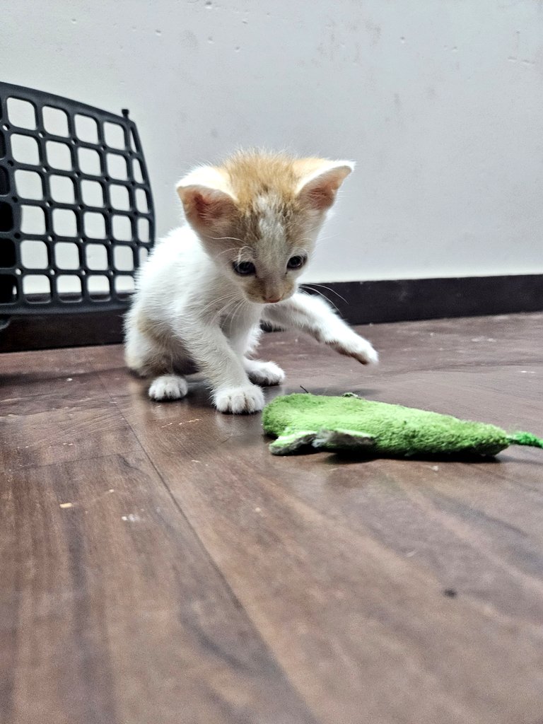 𝗦𝗮𝗻𝗶𝗹 tweet media