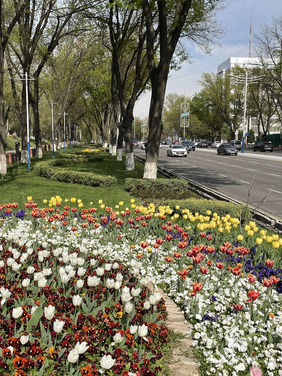 Denise Waddingham tweet media